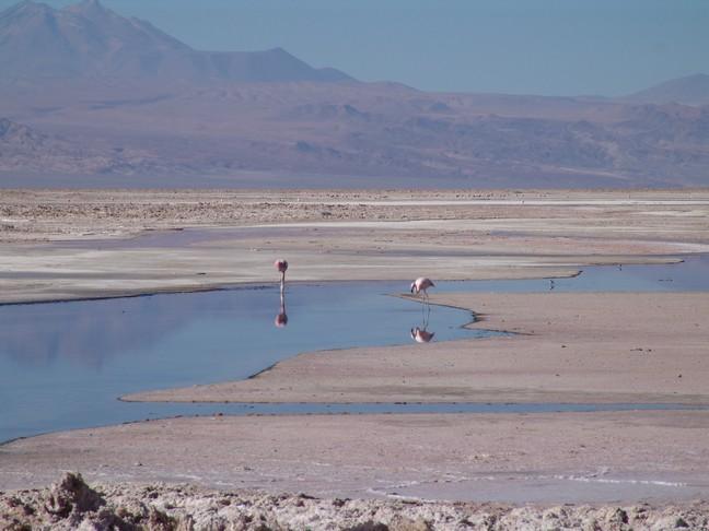 Corredor de la Muerte — Desierto de Atacama, Chile